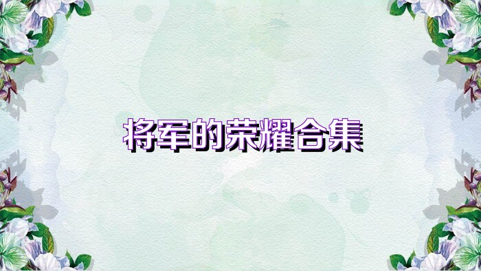 将军的荣耀合集