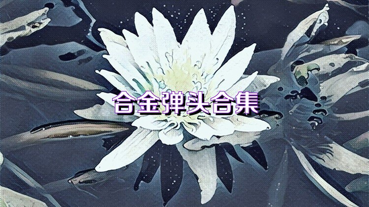 合金弹头合集