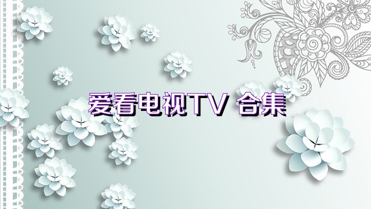 爱看电视TV 合集