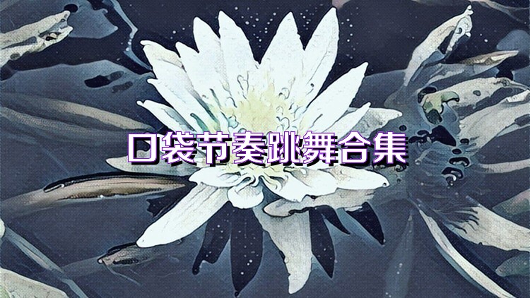 口袋节奏跳舞合集