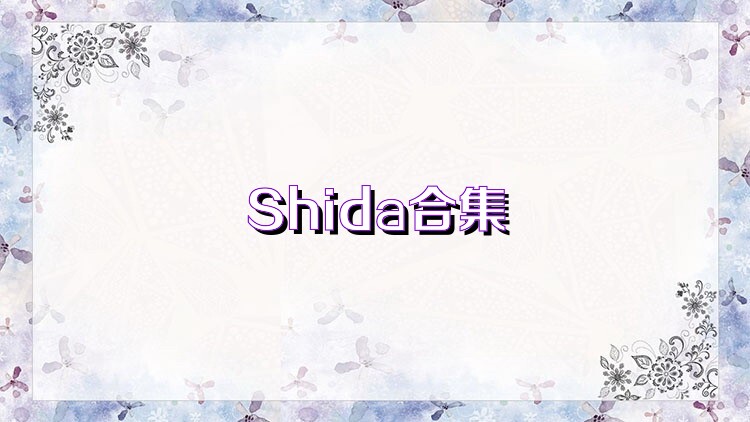 Shida合集