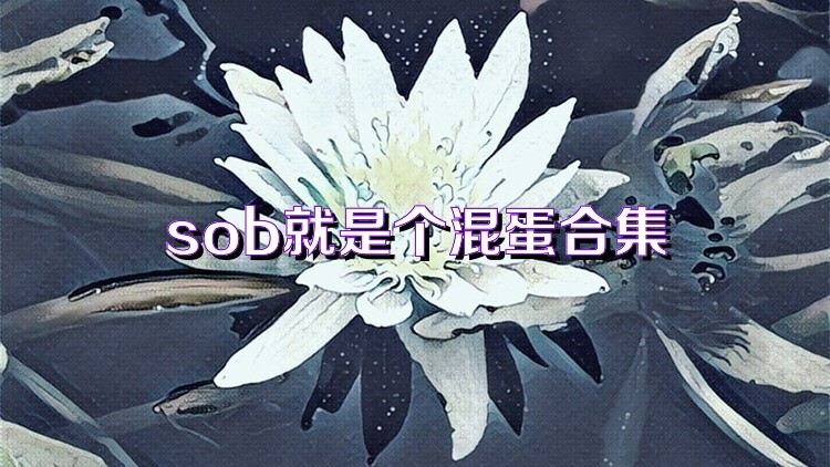 sob就是个混蛋合集