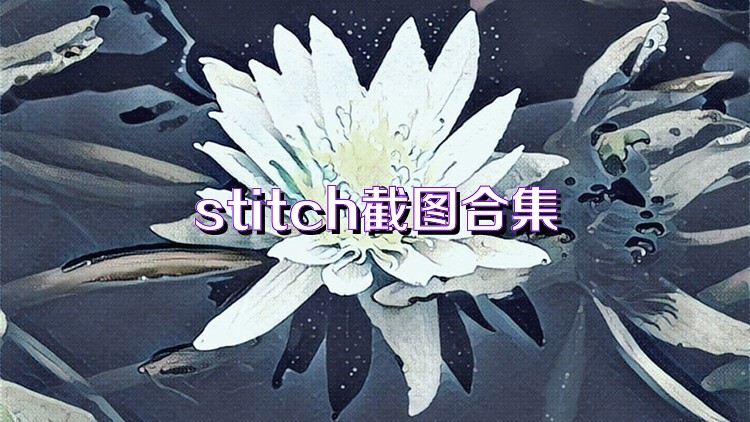 stitch截图合集