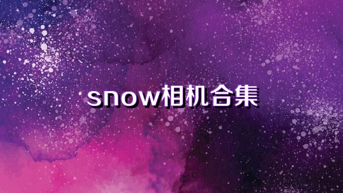 snow相机合集