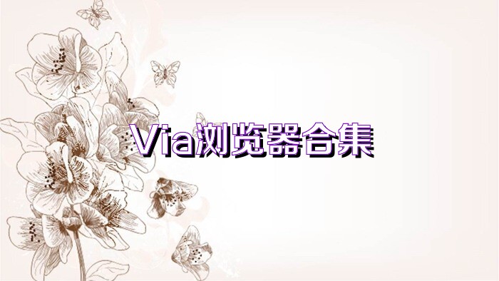 Via浏览器合集