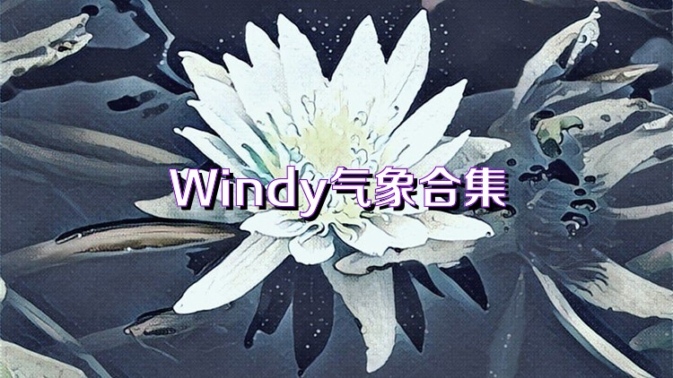 Windy气象合集