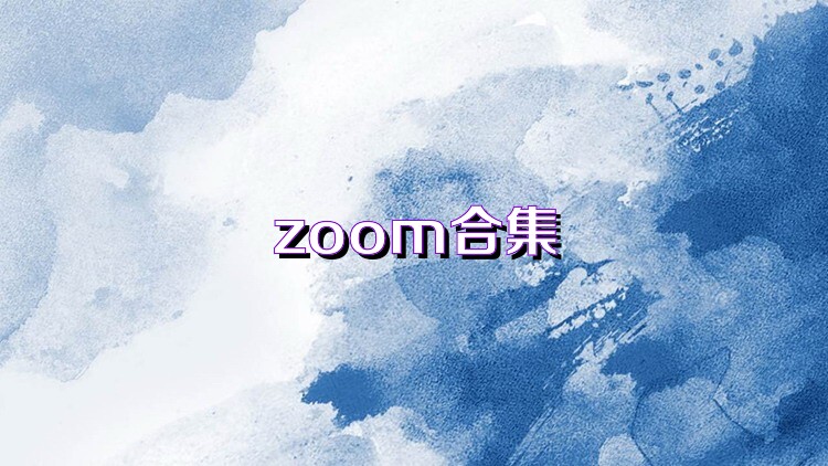 zoom合集