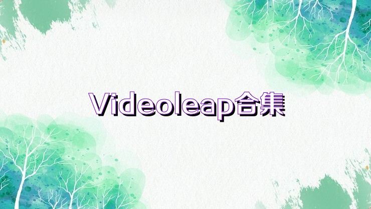 Videoleap合集