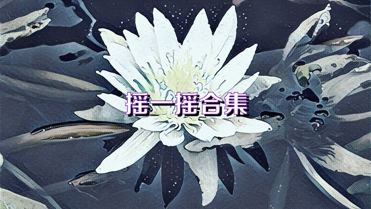 摇一摇合集