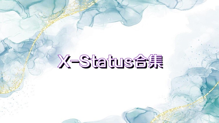 X-Status合集