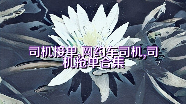 司机接单,网约车司机,司机抢单合集