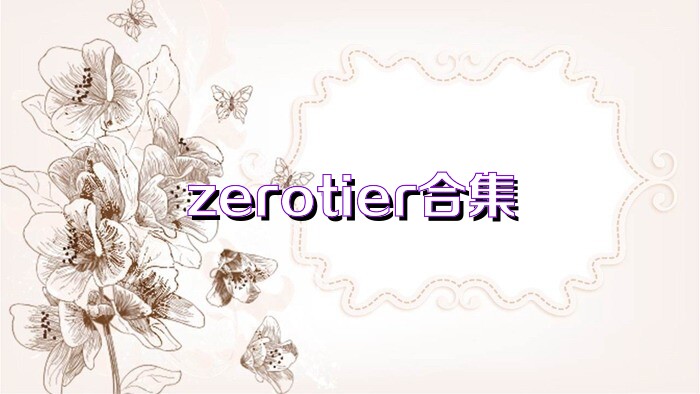 zerotier合集