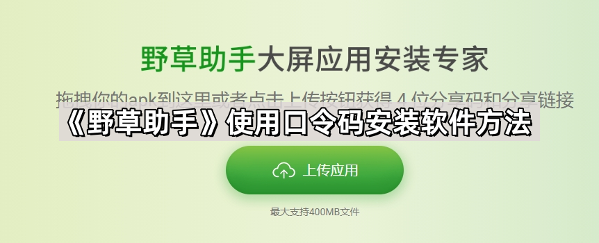 野草助手口令大全最新2024