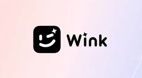 wink放大镜如何