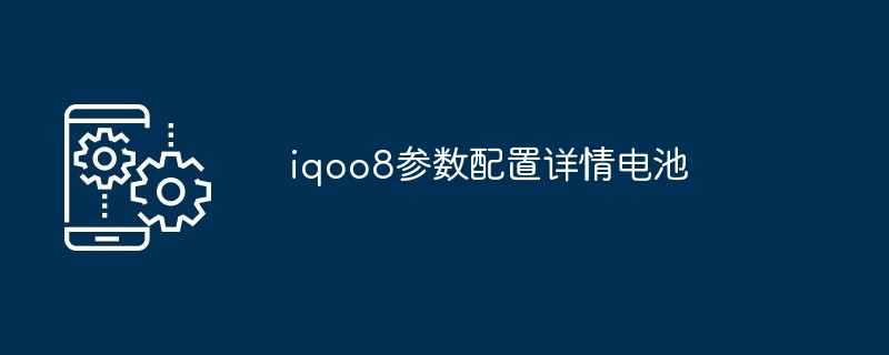 iqoo8参数配置详情电池