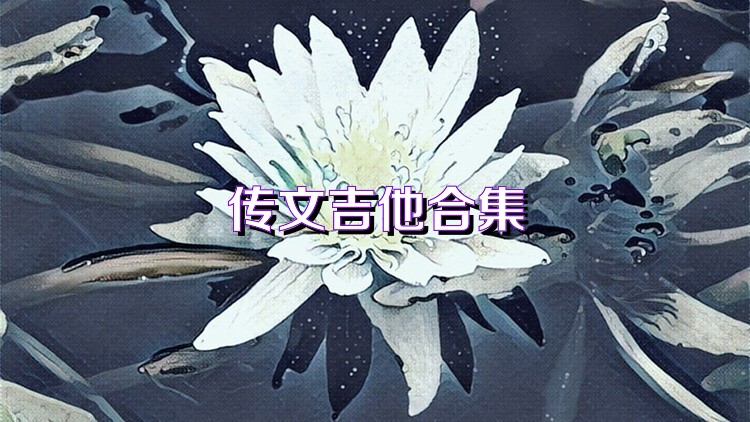 传文吉他合集