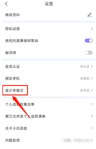 小白语音怎么办才能听 小白语音开启青少年模式教程