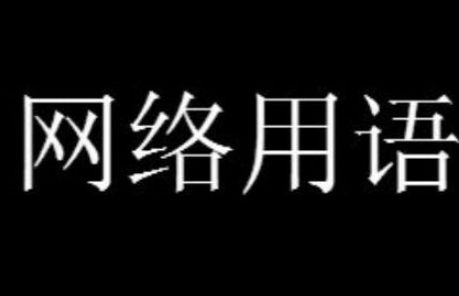 ts是什么意思网络用语