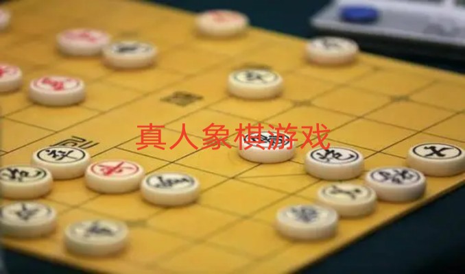 真人象棋游戏