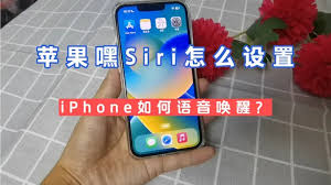 苹果手机如何设置Siri