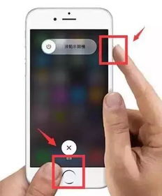 苹果手机如何强制重启