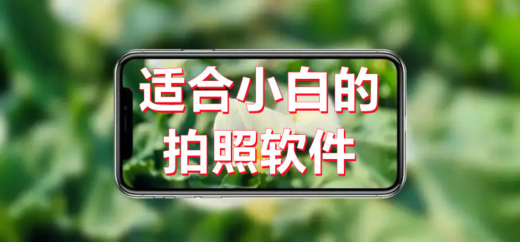 适合小白的拍照软件