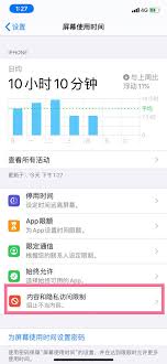 iOS访问限制功能详解