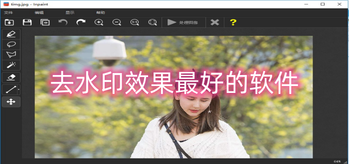去水印效果最好的软件