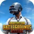 COM.PUBG.NEWSTATE.BETA