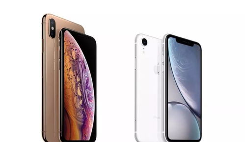 iPhone11双卡双待功能详解