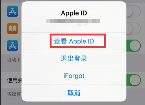 无法在iPhone中进行应用内购买