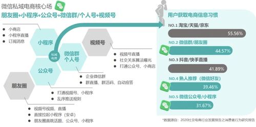 私域运营策略每天实施什么