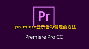 Premiere Pro如何启用色彩管理功能