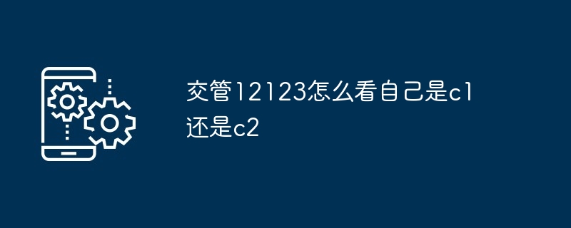 交管12123如何看自己是c1还是c2