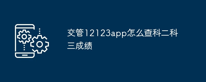 交管12123app怎么查科二科三成绩