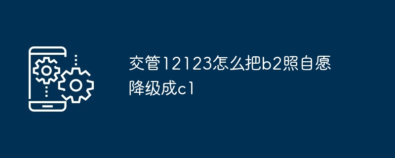 交管12123在哪把b2照自愿降级成c1