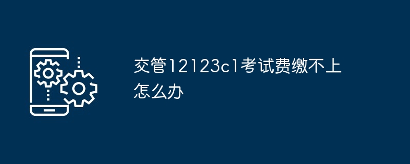 交管12123c1考试费缴不上怎么办