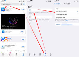 iOS17.2与iOS16.7.3同步发布原因解析