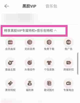网易云音乐黑胶VIP和音乐包有什么区别 网易云音乐黑胶VIP和音乐包性价比分析