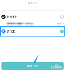 抖音月付无法使用支付宝原因探索