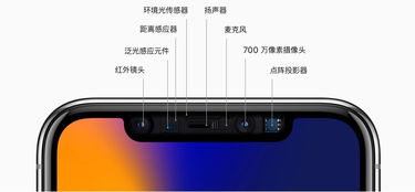 iOS17宠物识别功能无法使用怎么办