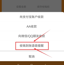 支付宝收款语音播报怎么设置-支付宝如何开启语音播报收款功能