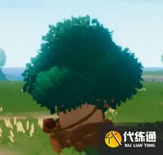 心动小镇