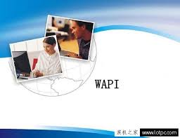 wapi在苹果手机中是什么意思