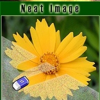 neatimage漢化版v8.5.2最新版