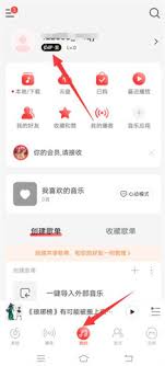 网易云音乐自动续费取消方法