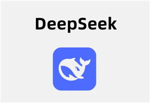 deepSeek在線服務(wù)會(huì)導(dǎo)致數(shù)據(jù)泄露嗎 deepSeek在線使用與api使用區(qū)別