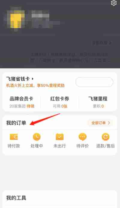 飛豬旅行怎么改簽飛機票