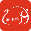 卷毛豬