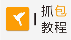 黄鸟抓包app如何用-黄鸟抓包app使用教程